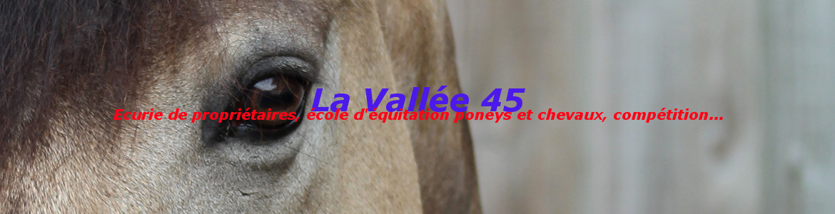 La Vallée 45